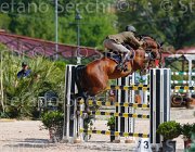 CRISTOFOLETTI AMICO MIO CampITA2013- S5 9354 : AMICO MIO, CRISTOFOLETTI ROBERTO, Campionati Italiani 2013, Cattolica, Horse Riviera Resort, foto di Stefano Secchi ©